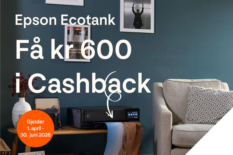Epson Cashback